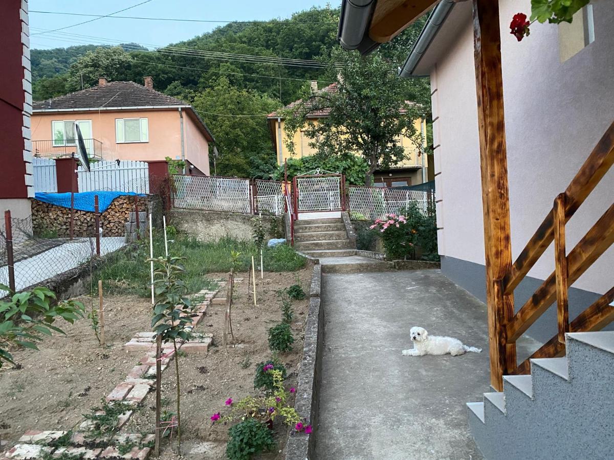 Smestaj Zeka Tekija Tekija  Exterior foto